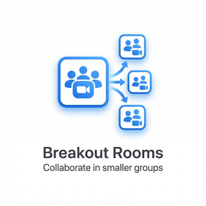 【Zoom官网】品牌 - Zoom黑屏问题